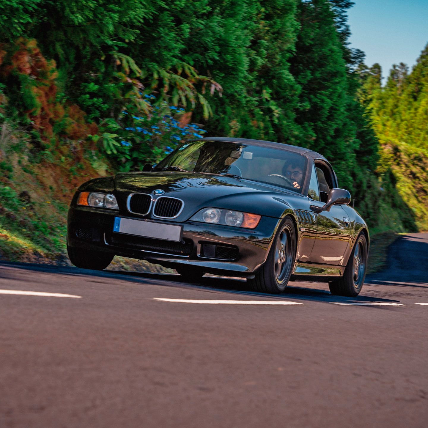 Z3 3" Wabengitter-Lufteinlass und Bremskühlungs-Lüftungsschlitze (Paar)